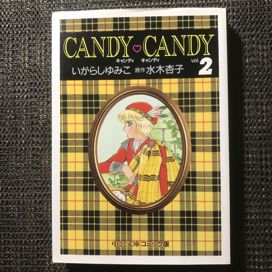 キャンディ♡キャンディ 2 中公文庫コミック版の通販 by ranpoo's shop