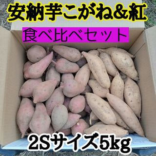 安納芋紅＆こがね2S 5kg(種子島産)(野菜)