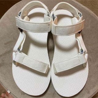 テバ(Teva)のテバスポーツサンダル22cm(サンダル)