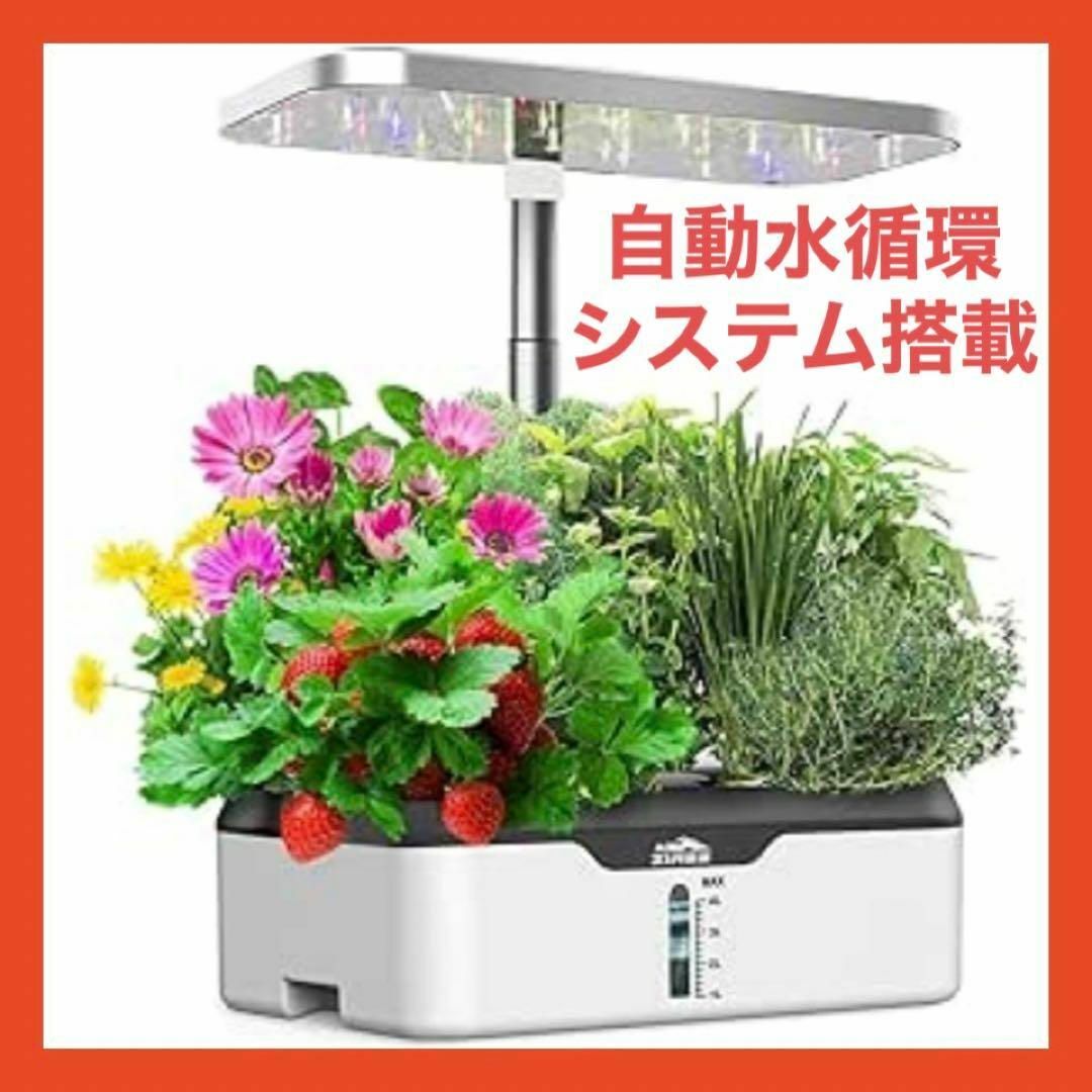 大阪コミコン コミコン 直筆サイン入り ポートレート