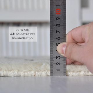 色: A】ＲＵＧＳ‐ＦＡＣＴＯＲＹ 玄関マット 室内 北欧 ベニワレン 風 ...