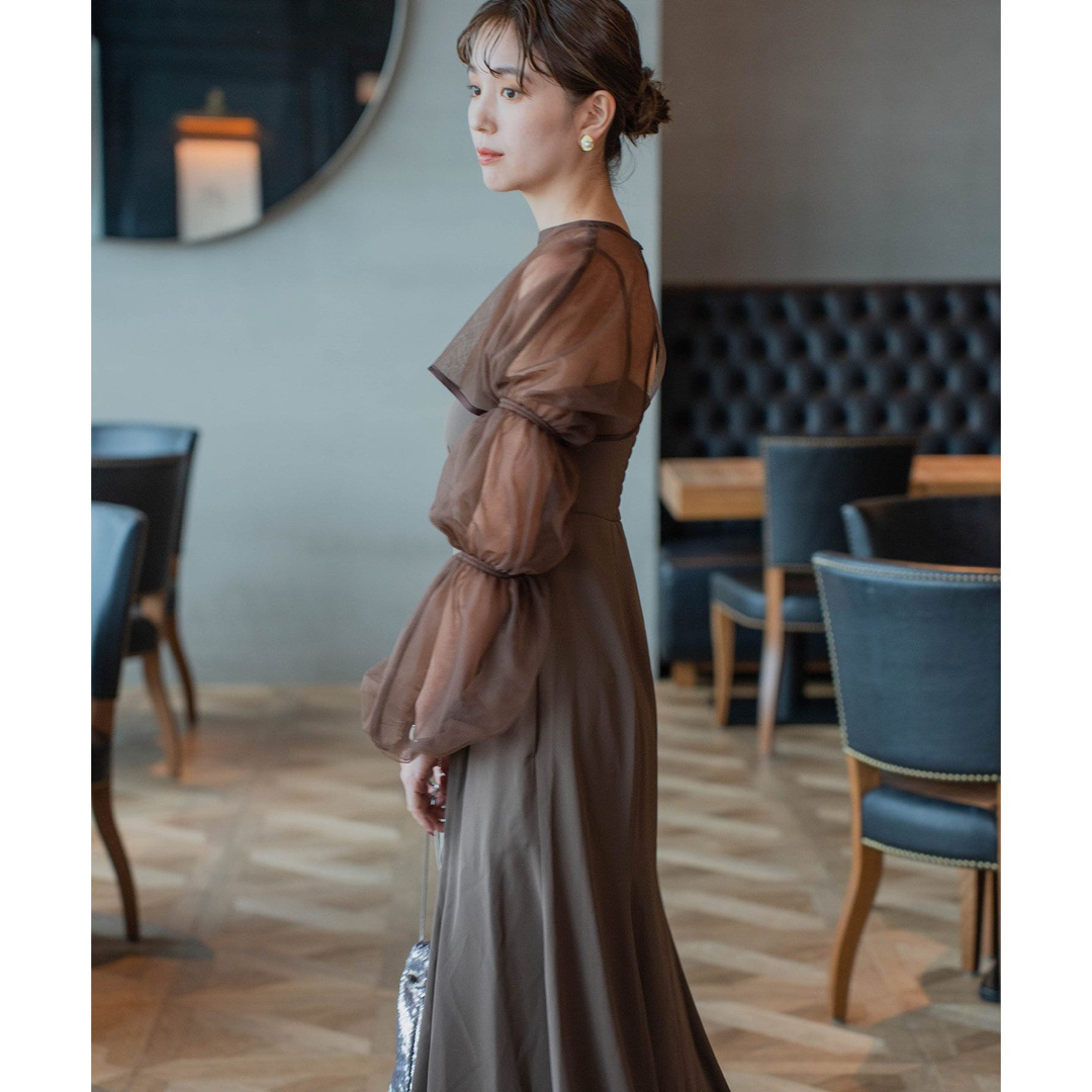 Kastane(カスタネ)のkastane tulle layered bare dress ブラウン レディースのワンピース(ロングワンピース/マキシワンピース)の商品写真
