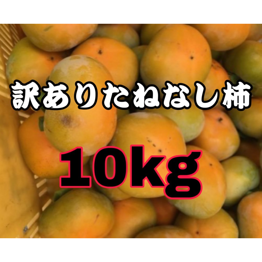 #訳あり たねなし柿  約10kg  和歌山県産 柿