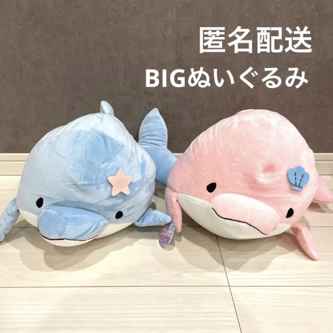 みいるか ゆるいるか BIGぬいぐるみ アオイルカ ピンクイルカ 2種