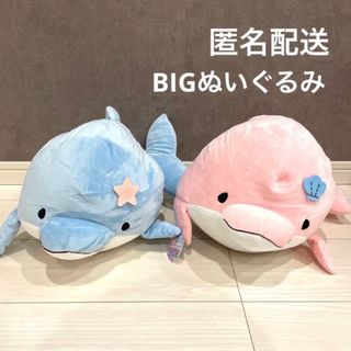 ⭐ゆるいるか　BIGぬいぐるみ　ぬいぐるみマスコット　まとめ売り　みいるか⭐