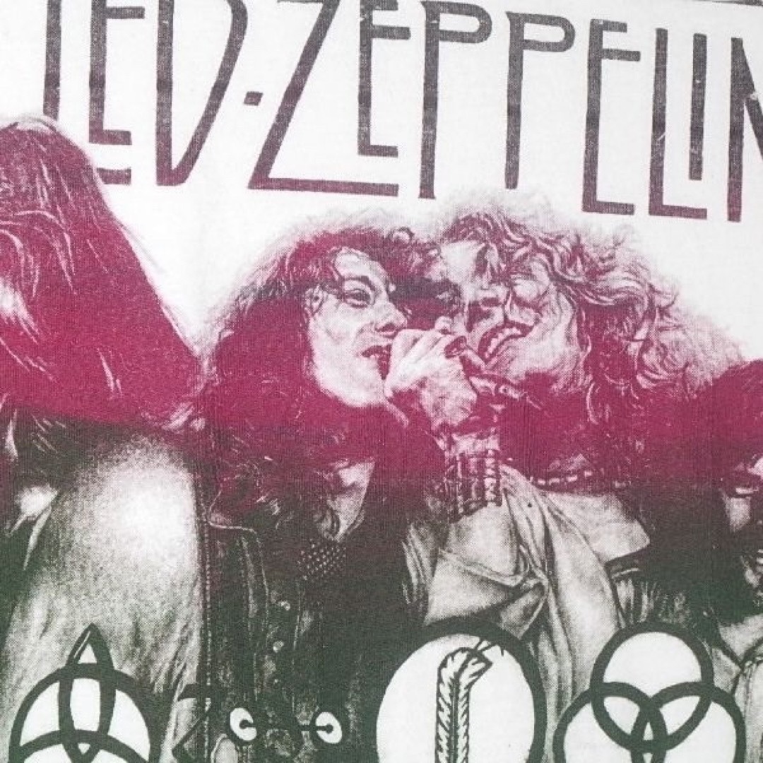 Santa Monica(サンタモニカ)の▪️80’s【LED ZEPPELIN】VINTAGE TEE レディースのトップス(Tシャツ(半袖/袖なし))の商品写真