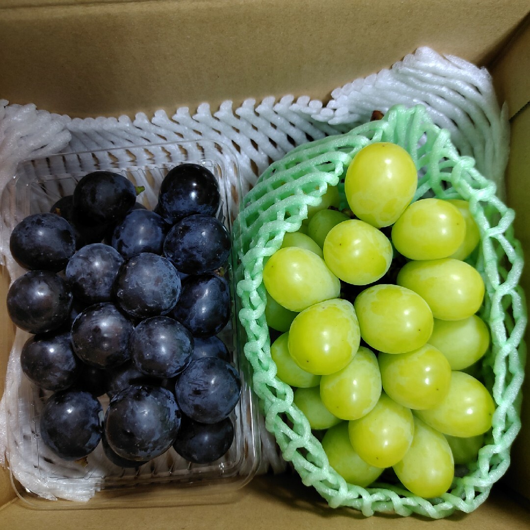 長野県産 シャインマスカット ナガノパープル 産地直送 1kg 食品/飲料/酒の食品(フルーツ)の商品写真
