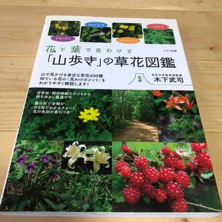 花と葉で見わける「山歩き」の草花図鑑(趣味/スポーツ/実用)