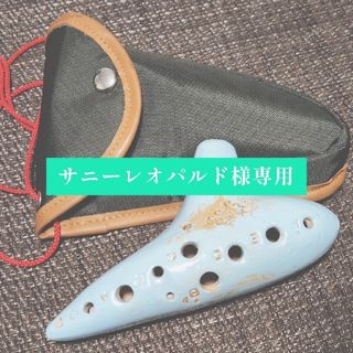 サニーレオパルド様専用(その他)