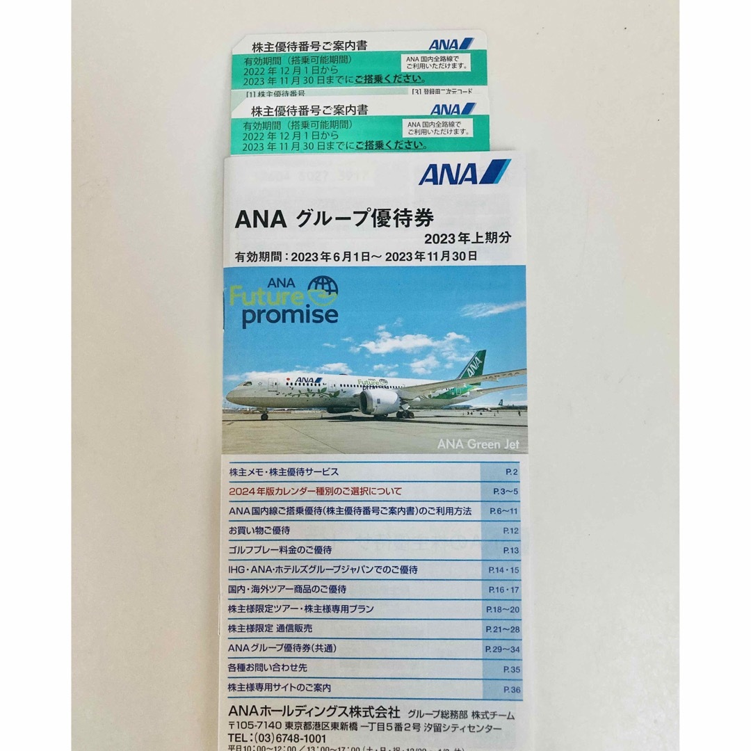 ANA 株主優待 2枚 全日空 11月30日期限