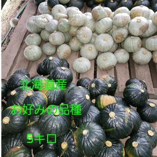 かぼちゃ5キロ(野菜)
