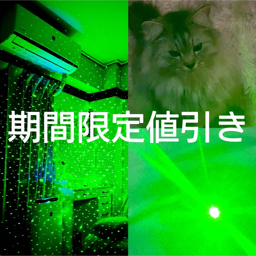LEDペンライト　レーザー　ポインター　カラス駆除  猫おもちゃ　工事　会議　1 その他のペット用品(猫)の商品写真