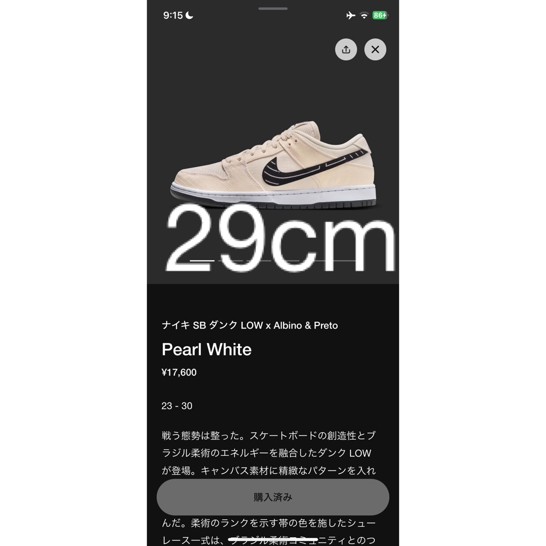 Albino & Preto × Nike SB Dunk Low メンズの靴/シューズ(スニーカー)の商品写真