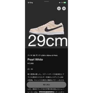 Albino & Preto × Nike SB Dunk Low(スニーカー)