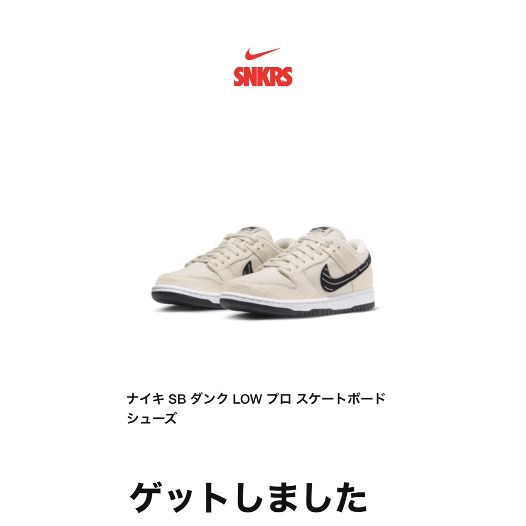 NIKE - 【新品未使用】アルビノ&プレト×ナイキSBダンクロープロQS ...