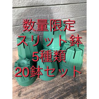 数量限定♪ スリット鉢　20鉢セット　5種類×各4鉢　オススメサイズの販売(プランター)