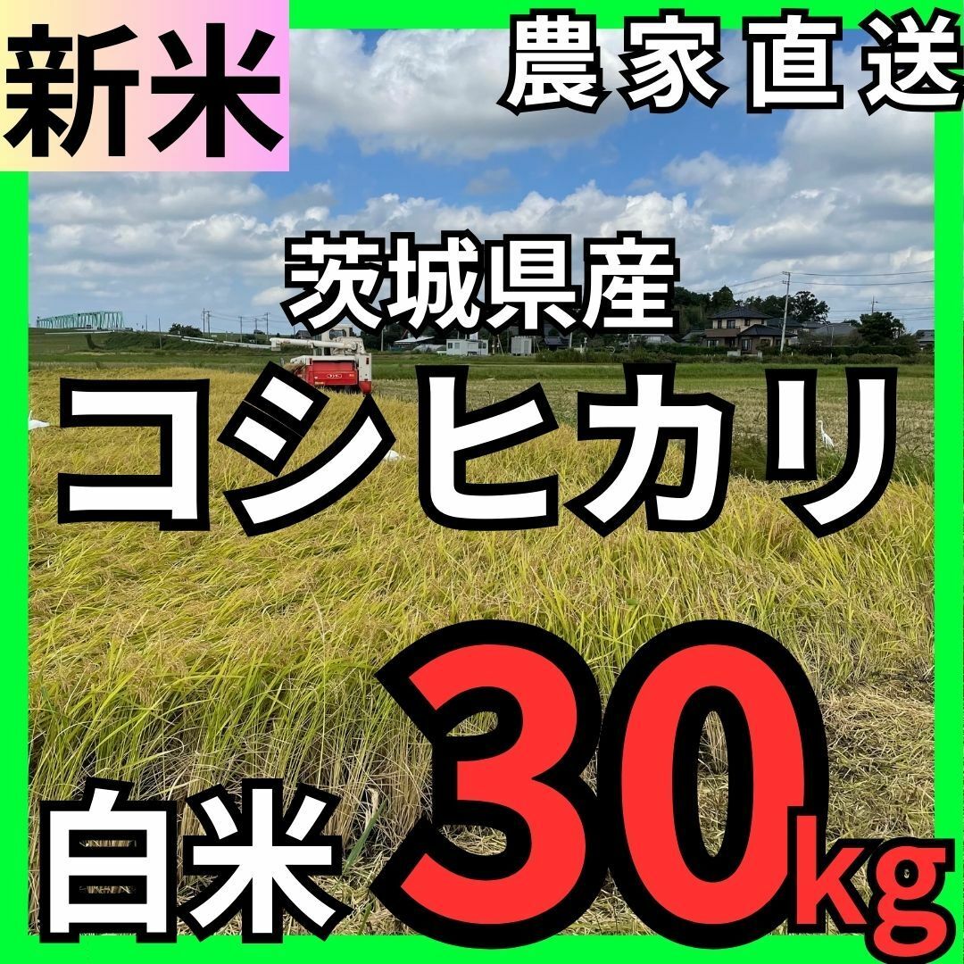 茨城県産　産地直送】【新米】令和5年　コシヒカリ　白米30kg　米/穀物