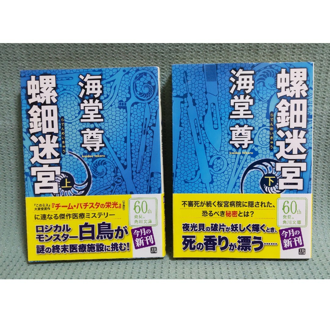 螺鈿迷宮 上下巻 他出品のプラス1冊でも300円 エンタメ/ホビーの本(文学/小説)の商品写真