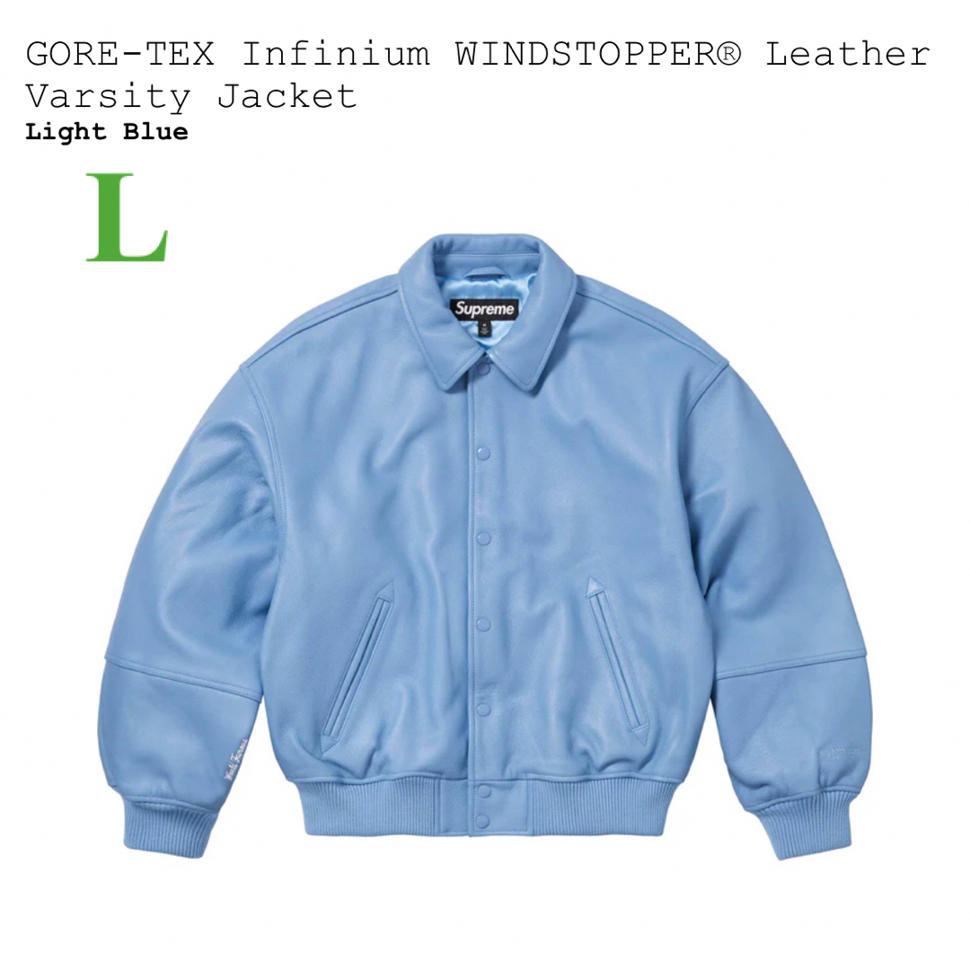 Supreme Gore-Tex Infinium Leather Jacket