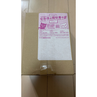 ポケモンカードゲーム スカーレット＆バイオレット  レイジングサーフ BOX(Box/デッキ/パック)