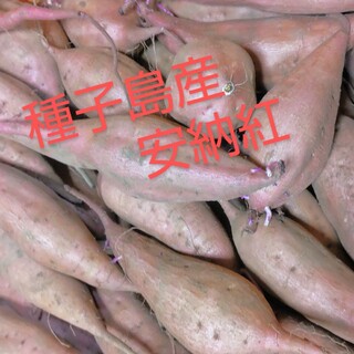 新物　種子島産安納紅ミニ・２S混合サイズ1キロ(野菜)