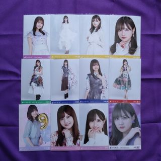 ノギザカフォーティーシックス(乃木坂46)の【乃木坂46】中村麗乃/公式生写真12枚セット(アイドルグッズ)