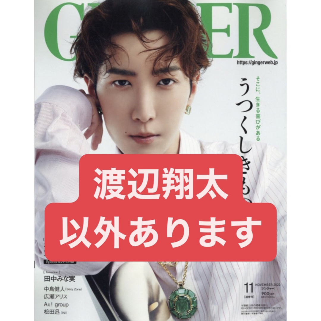 GINGER 11月号 エンタメ/ホビーの雑誌(アート/エンタメ/ホビー)の商品写真