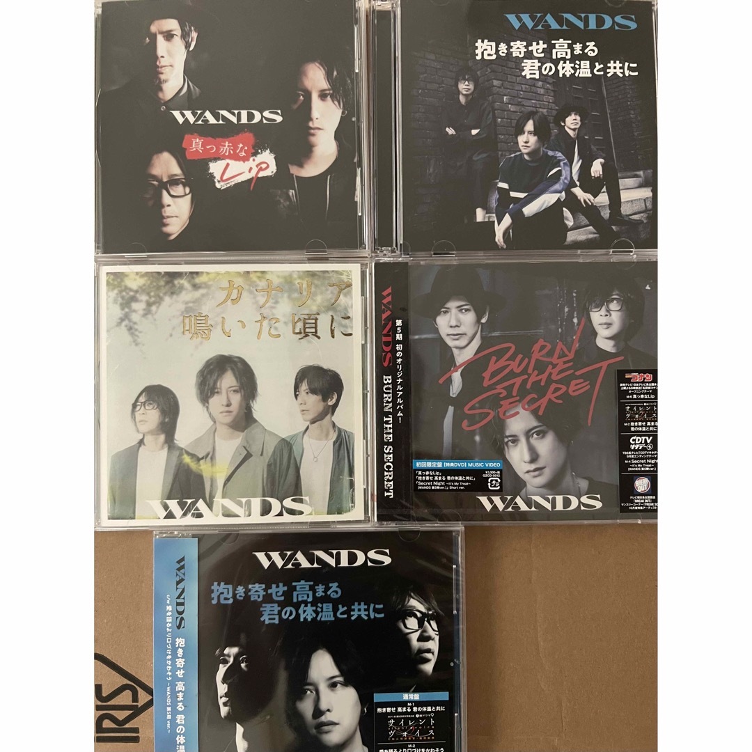 WANDS CD会報タワレコplus エンタメ/ホビーのタレントグッズ(ミュージシャン)の商品写真