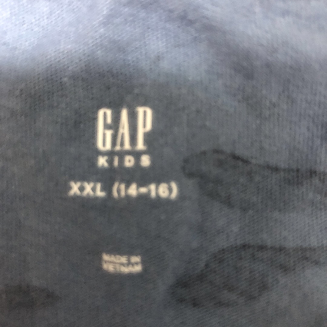 GAP(ギャップ)のGAPのメーサイ柄Tシャツ キッズ/ベビー/マタニティのキッズ服女の子用(90cm~)(Tシャツ/カットソー)の商品写真