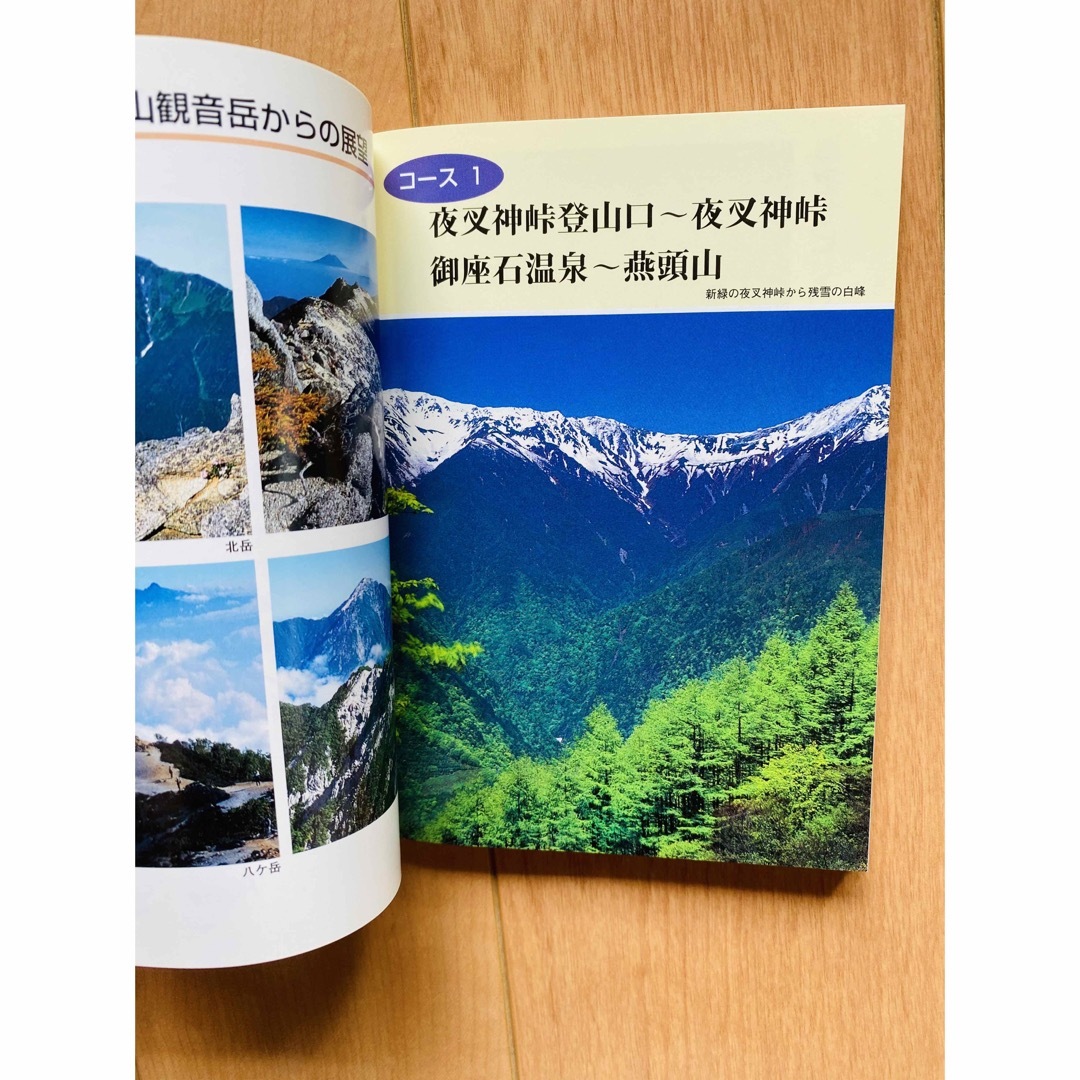 初版本】歩きながら覚える夜叉神峠鳳凰三山の高山植物の通販　by　ハンナ229's　shop｜ラクマ