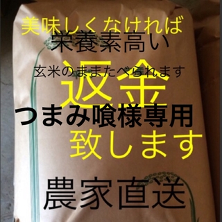 つまみ喰様専用　新米　無農薬純こしひかり30㎏ 玄米(米/穀物)