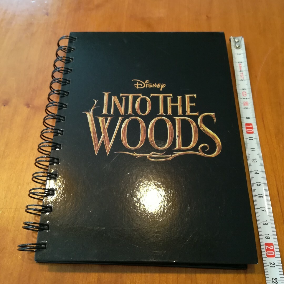 Disney(ディズニー)の✨Disney Into the Woods 五線譜ノート、音楽、楽譜 エンタメ/ホビーの本(楽譜)の商品写真