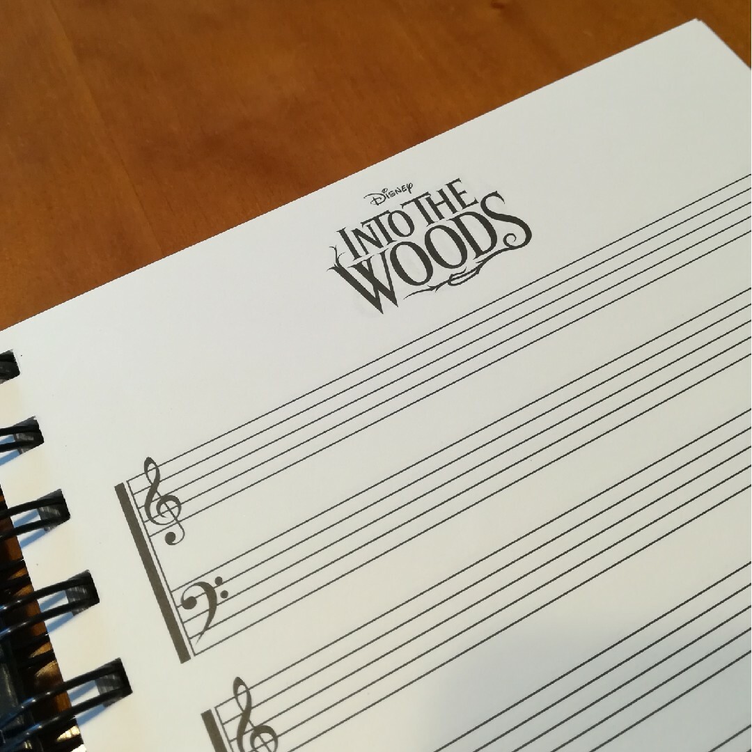 Disney(ディズニー)の✨Disney Into the Woods 五線譜ノート、音楽、楽譜 エンタメ/ホビーの本(楽譜)の商品写真