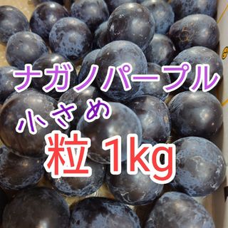 ナガノパープル　粒バラ　箱込み1kg　高級種無しぶどう　長野県産(フルーツ)