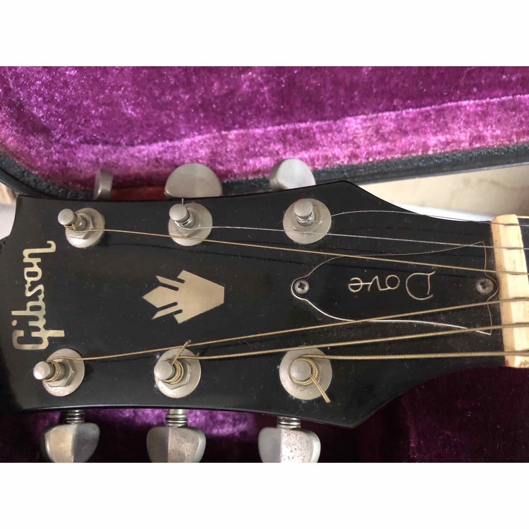 Gibson(ギブソン)のGibson DOVE custom 1970年代　ヴィンテージGibson  楽器のギター(アコースティックギター)の商品写真