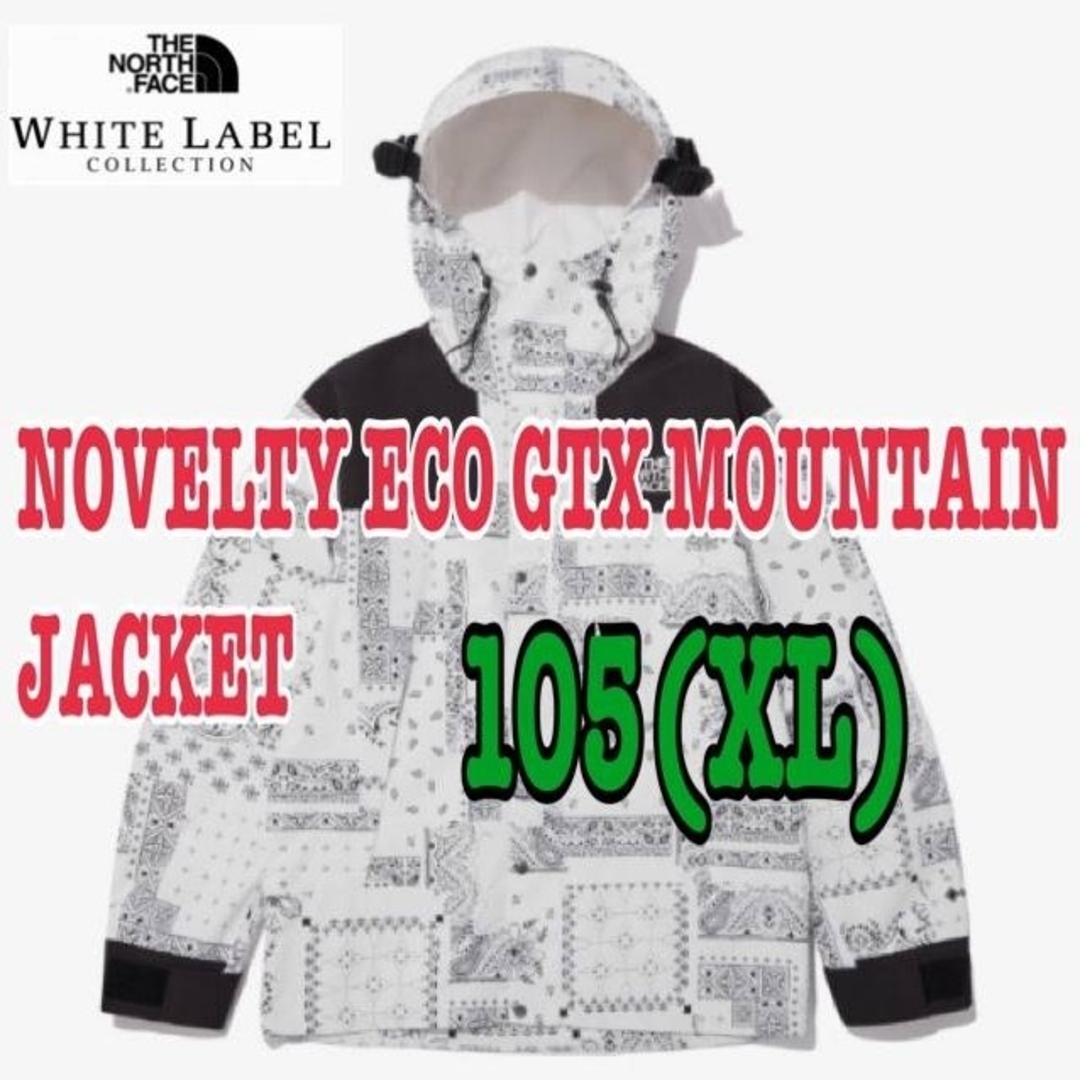 THE NORTH FACE   ノースフェイスNOVELTY ECO GTX MOUNTAIN JACKETの