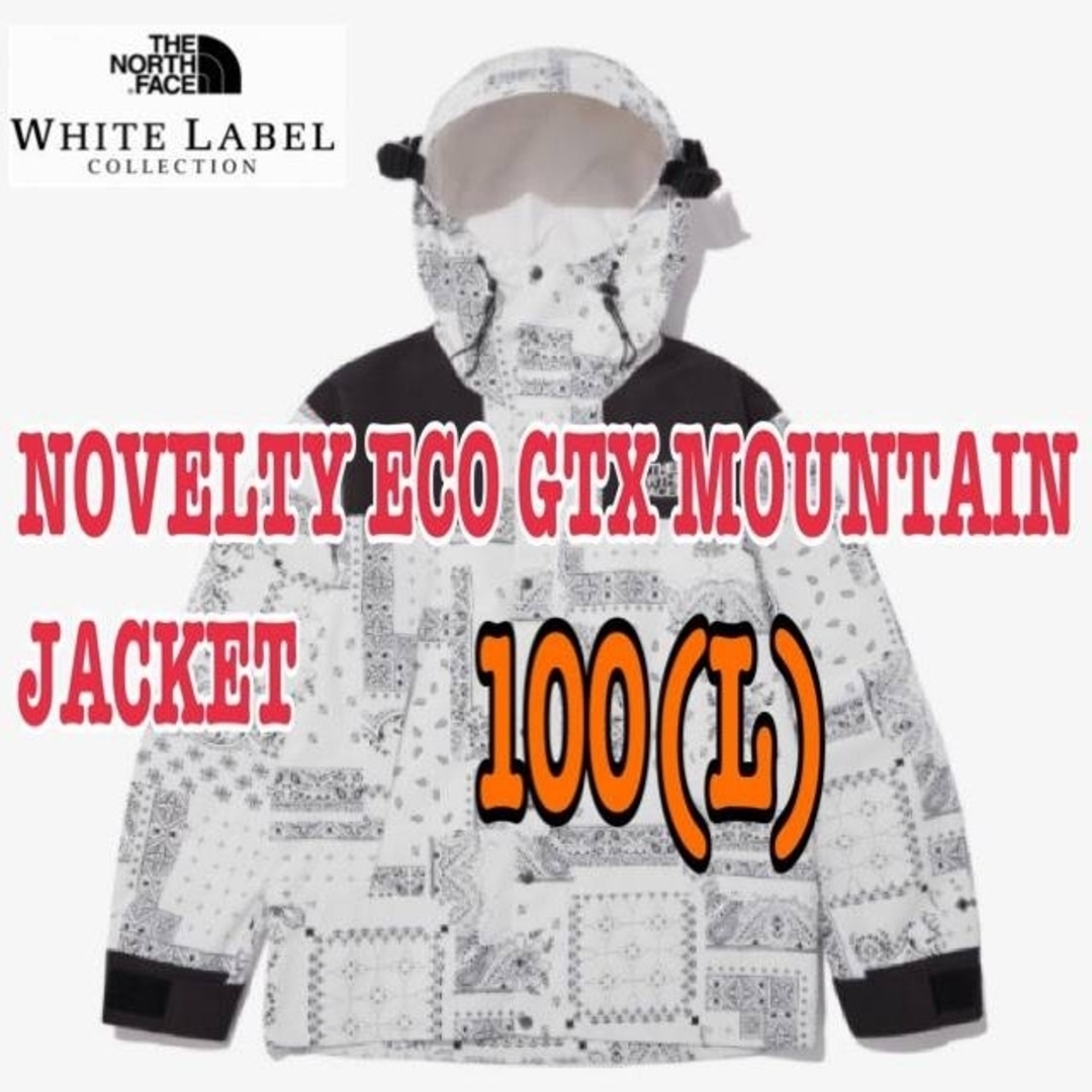 ノースフェイス NOVELTY ECO GTX MOUNTAIN JACKETメンズ