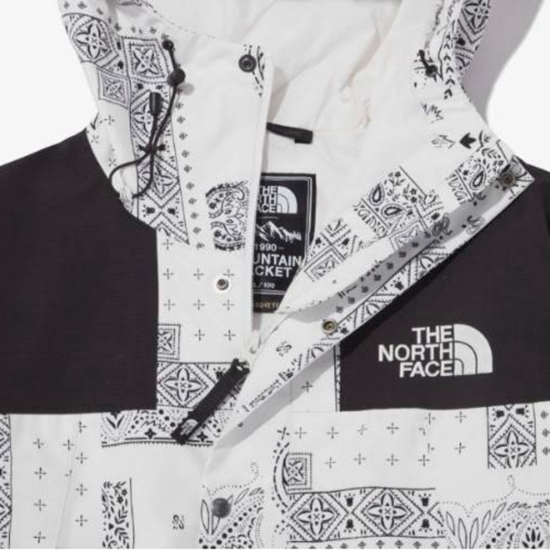 THE NORTH FACE(ザノースフェイス)のノースフェイス NOVELTY ECO GTX MOUNTAIN JACKET メンズのジャケット/アウター(その他)の商品写真