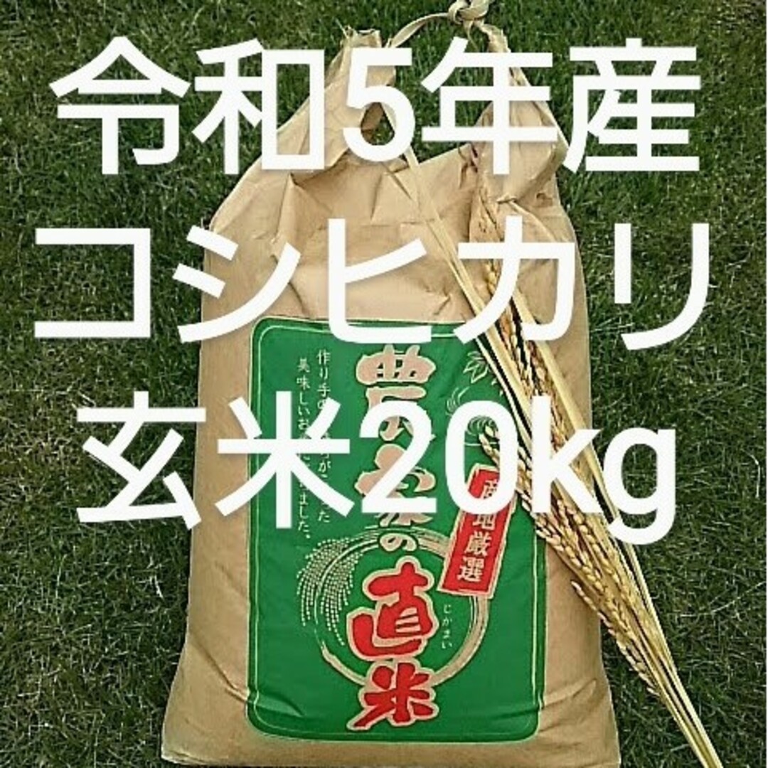 食品令和5年産コシヒカリ100%玄米20kg