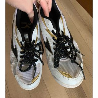 ミズノ(MIZUNO)のMIZUNO バレーボールシューズ　24.5cm(その他)