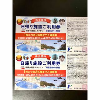 箱根小涌園ユネッサン・下田海中水族館2枚 ～2023年9月30まで(その他)