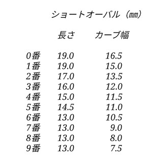 ネイルチップ　現品　59..　成人式/ お正月/ マグネットネイル/ 冬 ハンドメイドのアクセサリー(ネイルチップ)の商品写真