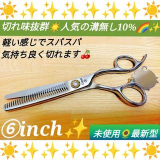 10％セニングシザープロ用すきバサミ美容師✨ハサミルックス満点スパスパ切れます✨