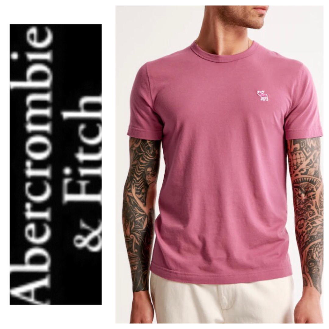 Abercrombie&Fitch(アバクロンビーアンドフィッチ)のL◎新品正規品◎アバクロ◎Abercrombie&Fitch◎Tシャツ◎送料込 メンズのトップス(Tシャツ/カットソー(半袖/袖なし))の商品写真