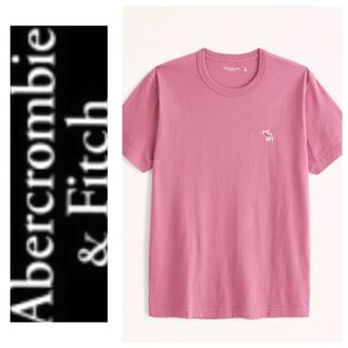 アバクロンビーアンドフィッチ(Abercrombie&Fitch)のL◎新品正規品◎アバクロ◎Abercrombie&Fitch◎Tシャツ◎送料込(Tシャツ/カットソー(半袖/袖なし))