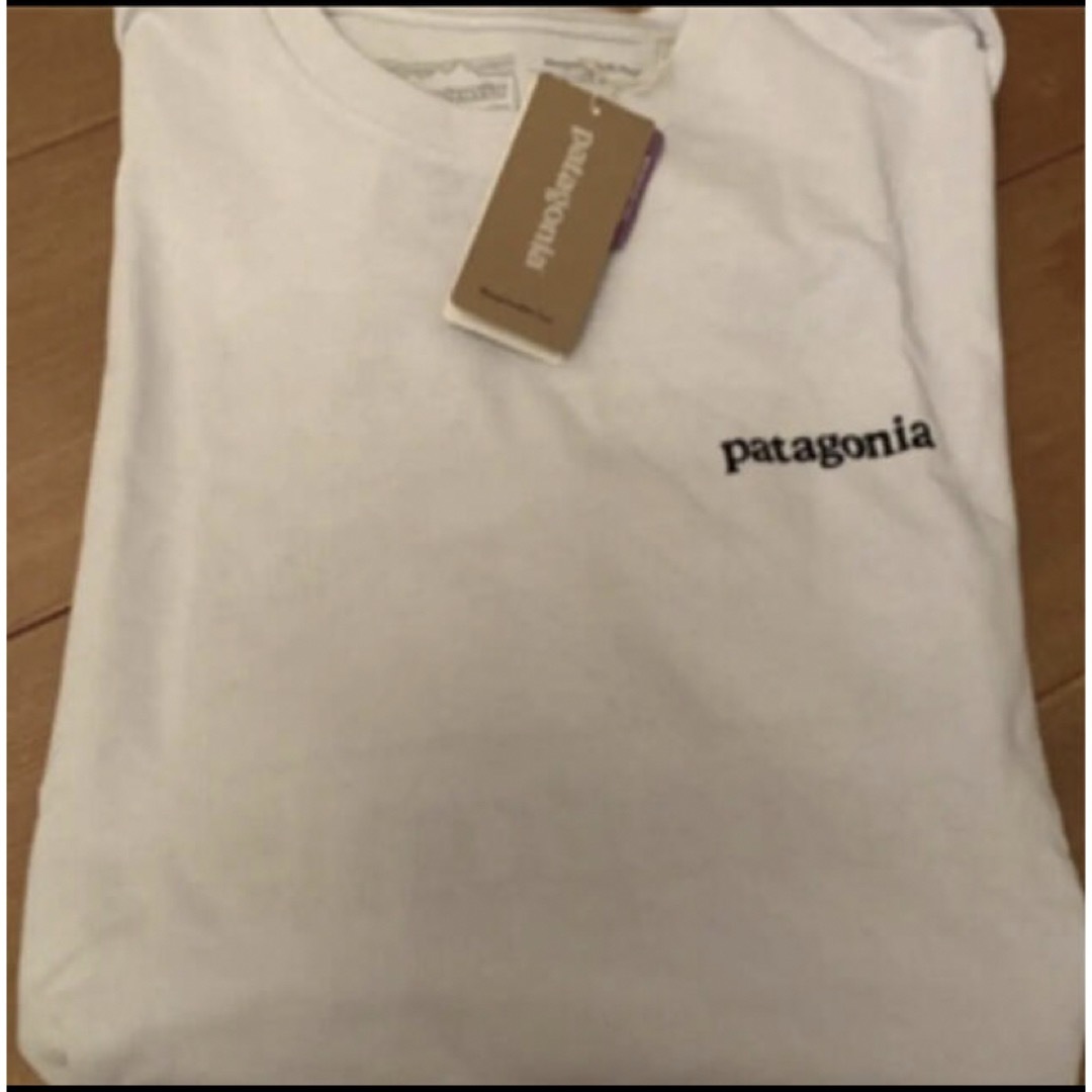 patagonia(パタゴニア)のパタゴニア　ロングスリーブ・ライン・ロゴ・リッジ・レスポンシビリティー　M メンズのトップス(Tシャツ/カットソー(七分/長袖))の商品写真