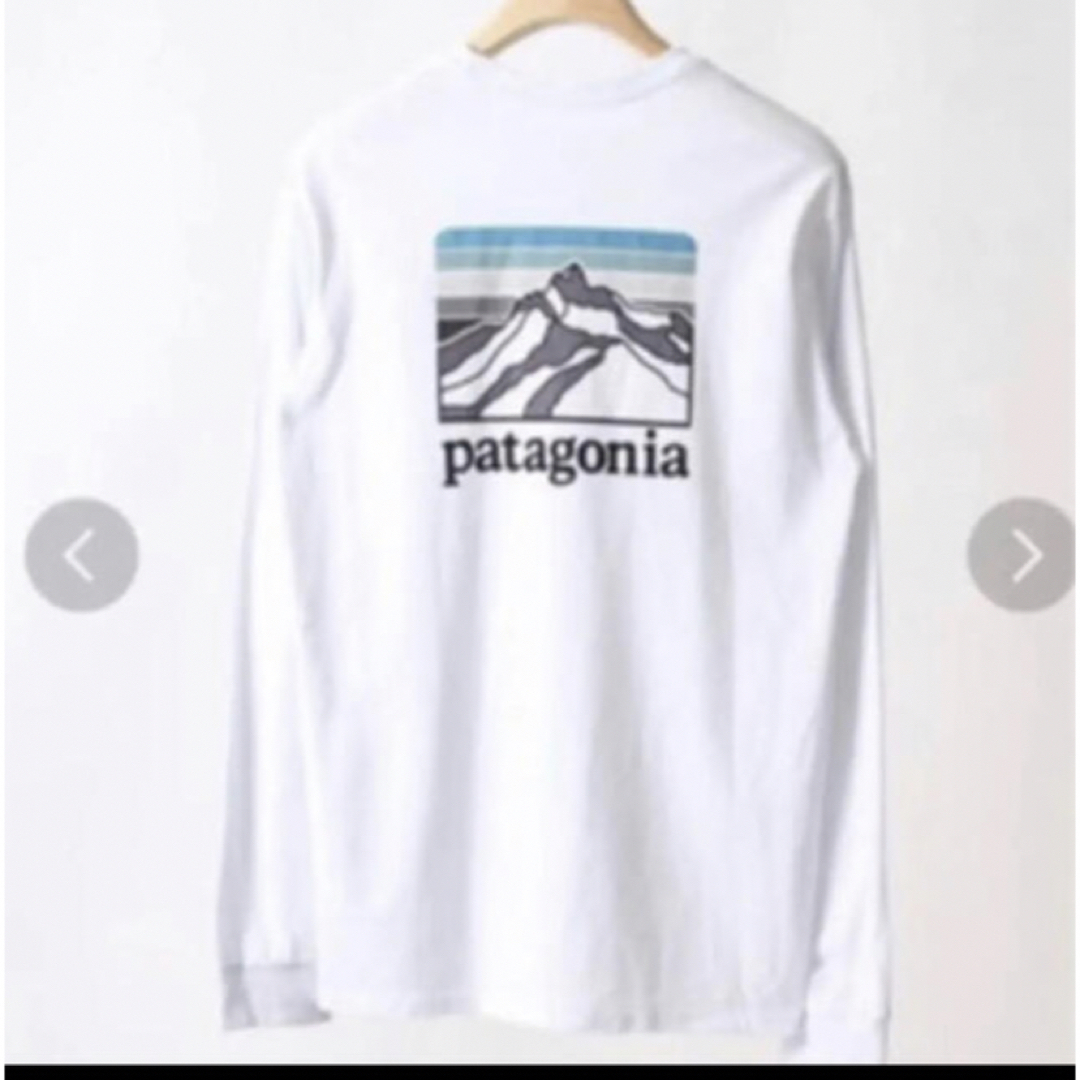 patagonia(パタゴニア)のパタゴニア　ロングスリーブ・ライン・ロゴ・リッジ・レスポンシビリティー　M メンズのトップス(Tシャツ/カットソー(七分/長袖))の商品写真