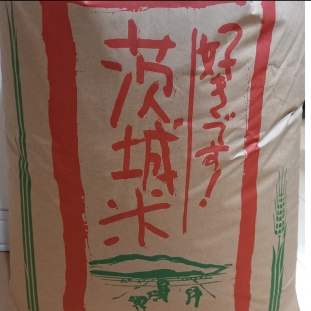 令和5年　茨城県産ミルキークイーン玄米米/穀物