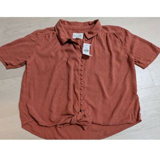 アメリカンイーグル(American Eagle)のAMERICAN EAGLE　半袖ショート丈シャツ　未使用(Tシャツ(半袖/袖なし))