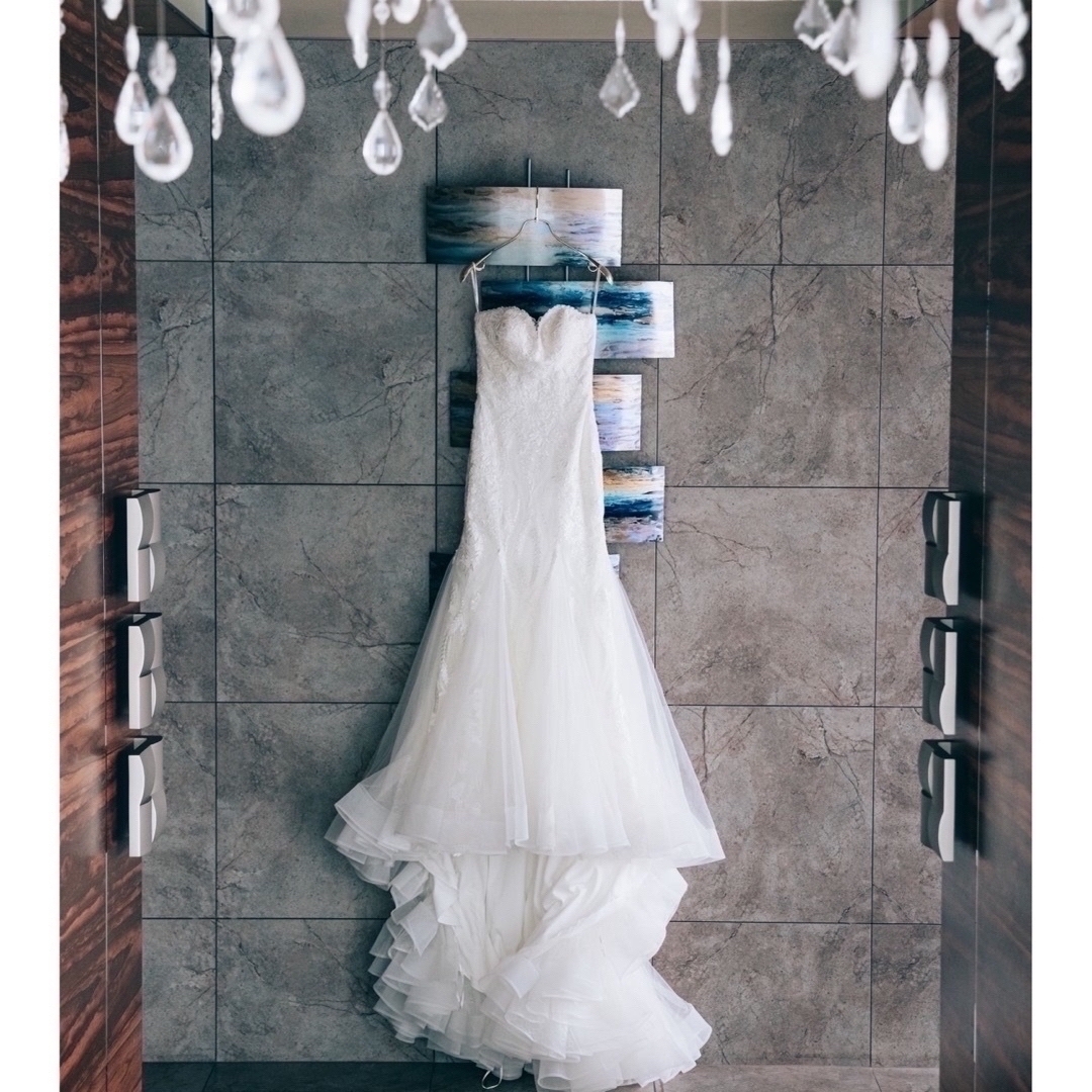 PRONOVIAS プロノビアス ALISON マーメイド ウェディングドレス PRONOVIAS プロノビアス ALISON マーメイド ウェディングドレス